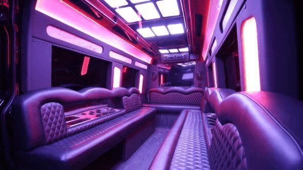 Interior of Wilmington Party Bus Company's 14 Passenger Sprinter Limousine in Mount Pleasant