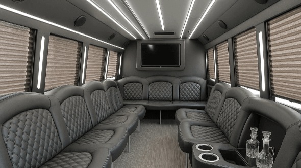 Interior of Wilmington Party Bus Company's 30 Passenger Party Bus in Mount Pleasant