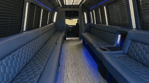 wilmington 30 passenger party bus interior